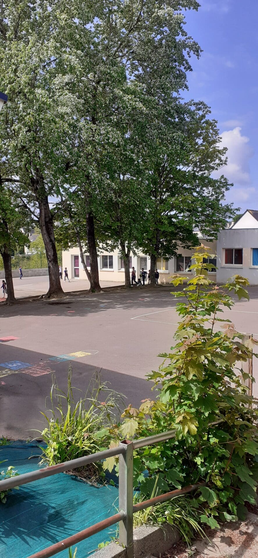 Ecole Saint Adrien – LE DRENNEC